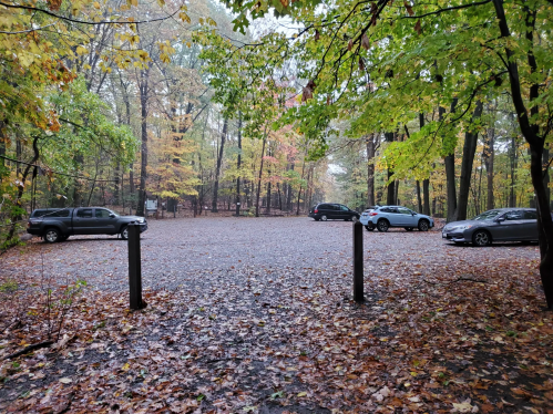 A gravel parking lot surrounded by trees with autumn leaves, wet from rain, and a few parked cars.