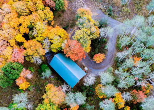 Aerial view of a cabin surrounded by vibrant autumn foliage and a winding dirt path.