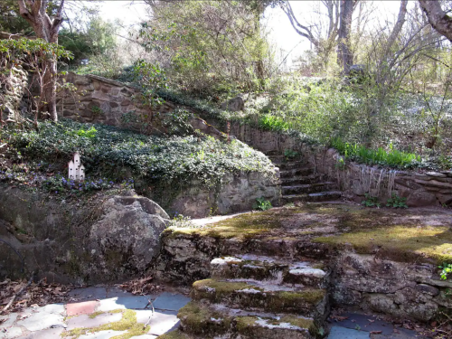A serene garden scene featuring stone steps, moss-covered rocks, and lush greenery under soft sunlight.
