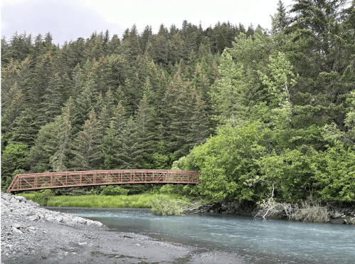 A wooden bridge spans a river surrounded by lush green trees and a mountainous forest backdrop.