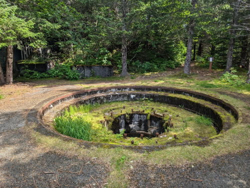 A circular, moss-covered concrete structure surrounded by trees and greenery in a forested area.