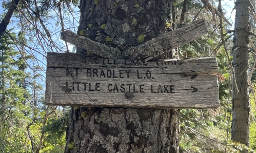 Wooden sign on a tree indicating directions to Castle Lake Trail, Mt. Bradley Lookout, and Little Castle Lake.