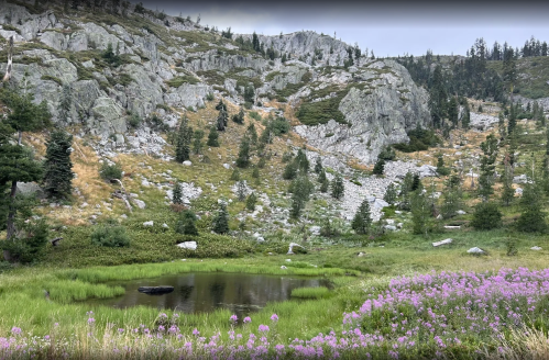 A serene landscape featuring a pond surrounded by lush greenery and purple wildflowers, with rocky hills in the background.