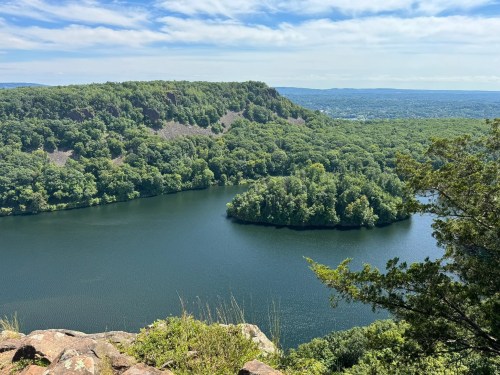 A scenic view of a lush green landscape with a winding river and an island, under a clear blue sky.