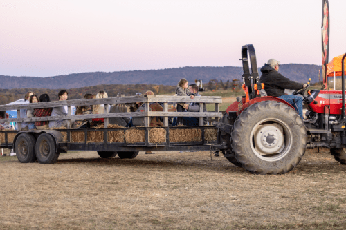 A tractor pulls a hayride filled with people enjoying a fall evening in a rural setting.