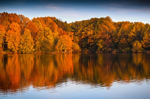 A serene lake reflecting vibrant autumn trees in shades of orange and yellow under a clear blue sky.