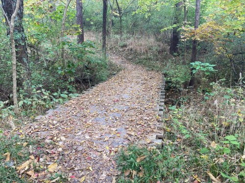 A winding wooden path covered in fallen leaves, surrounded by trees and greenery in a forested area.