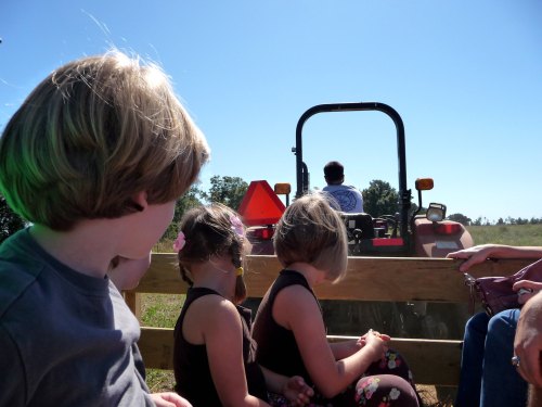 Children sitting on a wooden wagon, watching a tractor in a sunny field.