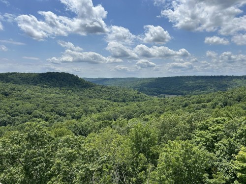 A panoramic view of rolling green forests under a blue sky with fluffy clouds