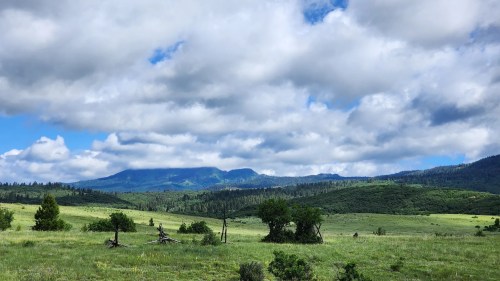 Lush green landscape with rolling hills, scattered trees, and a cloudy blue sky in the background.