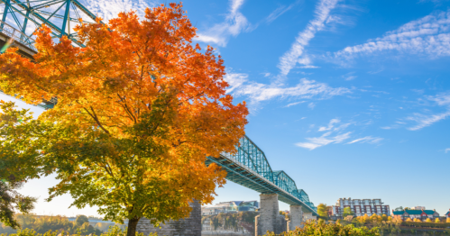 Chattanooga in the fall
