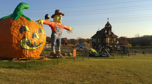 A large pumpkin and scarecrow stand in a field near a spooky house, with power lines in the background.