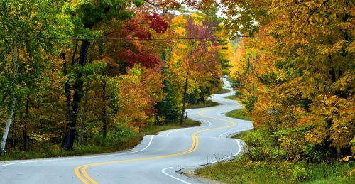 A winding road surrounded by vibrant autumn foliage in shades of red, orange, and yellow.