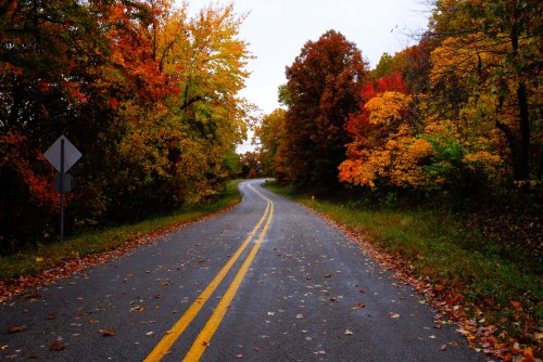 A winding road surrounded by vibrant autumn foliage in shades of orange, red, and yellow.