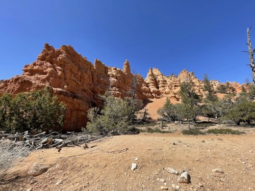 Rocky formations rise against a clear blue sky, surrounded by sparse vegetation in a desert landscape.
