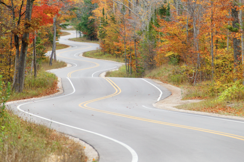 Winding road through a vibrant autumn forest with colorful leaves on trees.