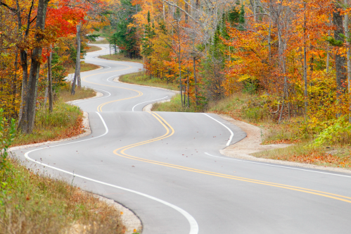 Winding road through a vibrant autumn forest with colorful leaves on trees.