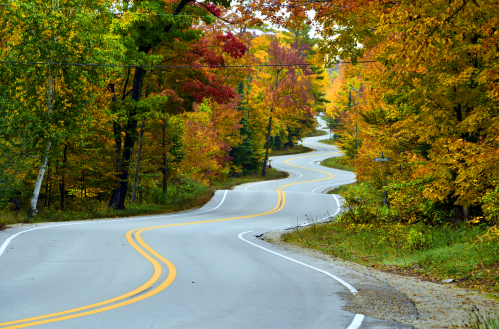 A winding road surrounded by vibrant autumn trees in shades of red, orange, and yellow.