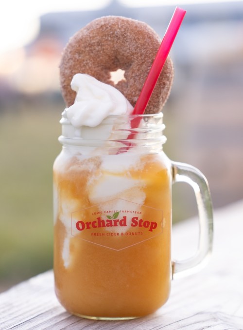 A mason jar filled with cider, topped with whipped cream and a donut, with a straw and a scenic background.
