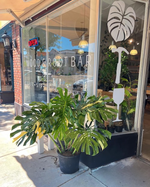 A storefront with large windows displaying "Wood & Root Bar" and a potted monstera plant outside.
