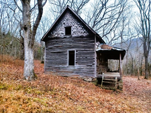 A weathered wooden cabin surrounded by bare trees and fallen leaves in a forested area.