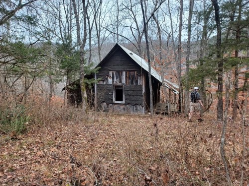 An old, weathered cabin surrounded by trees and overgrown vegetation in a wooded area.