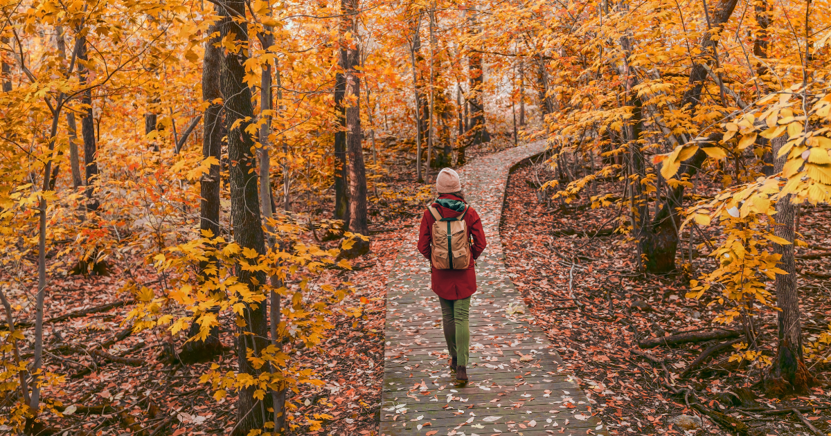 Your Ultimate Guide to Fall Attractions and Activities in South Carolina