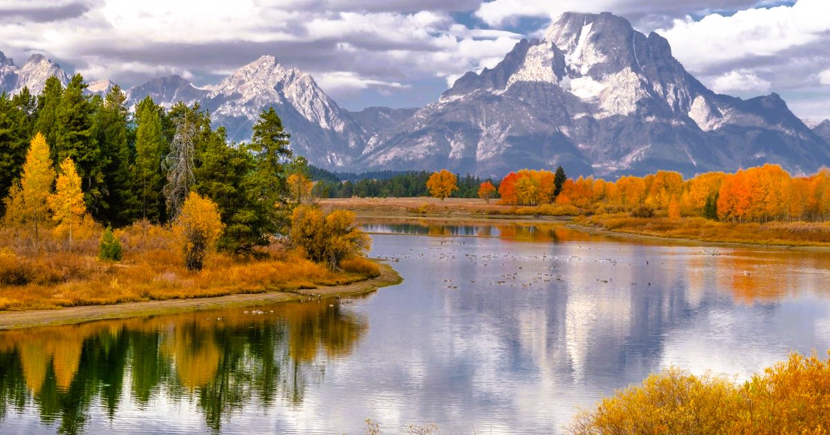 Here Are the Best Times and Places to View Wyoming’s Fall Foliage in 2025