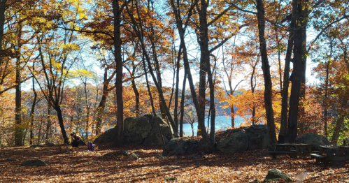 a forest trail at lincoln woods state park gives us glimpses of the park's large pond on na sunny fall day