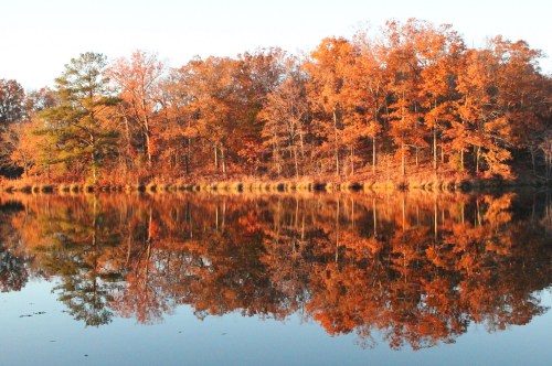 Trees covered in bright orange hues reflecting on the surface of a scenic lake at Tombigbee State Park.