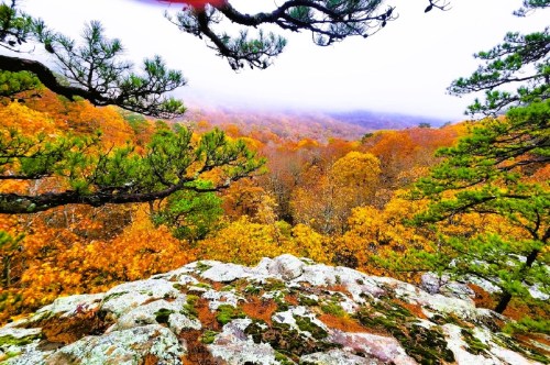 Rock outcropping with stunning views of fall colors.
