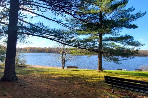 A serene lakeside view with trees, benches, and a clear blue sky reflecting on the water.