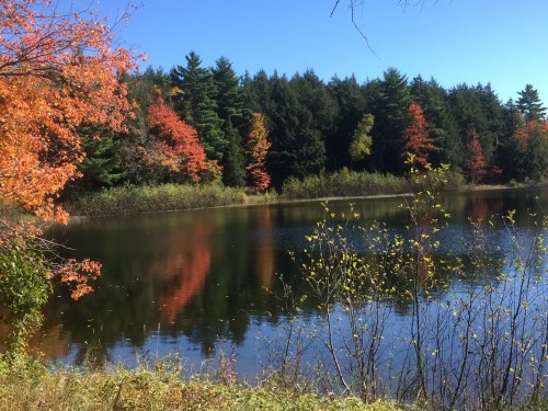 A serene lake surrounded by trees with vibrant autumn foliage reflecting on the water under a clear blue sky.