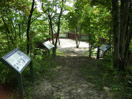 A dirt path leads to a viewing platform surrounded by trees, with informational signs on either side.