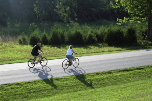 Two cyclists ride along a quiet road, casting long shadows on the pavement, surrounded by greenery.