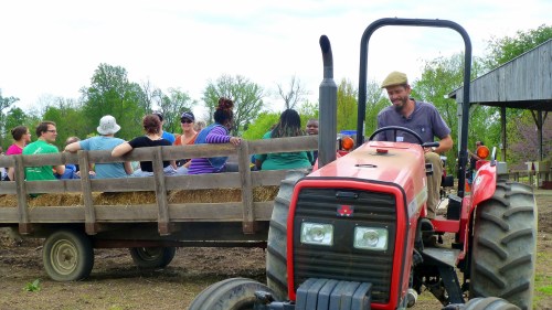 A farmer drives a tractor pulling a hay wagon filled with people at a farm, surrounded by greenery and trees.