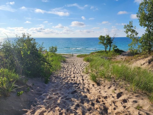 A sandy path leads to a tranquil beach with gentle waves and greenery under a bright blue sky.