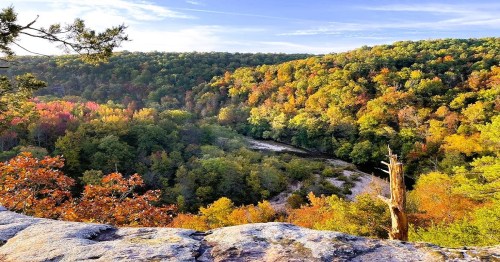 Scenic overlook in Arkansas with spectacular views of the rolling hills of the Ozarks covered in fall colors.