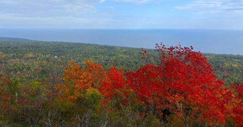 Vibrant autumn foliage in shades of red and orange overlooking a vast forest and calm blue lake under a cloudy sky.