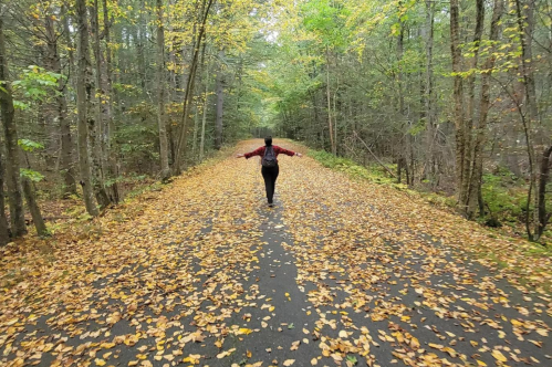 A person walks down a leaf-covered path surrounded by trees in autumn, arms outstretched in a joyful pose.