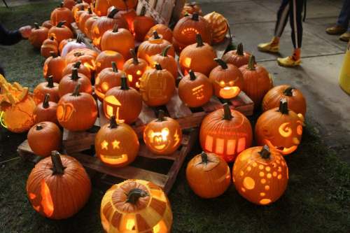 A collection of carved pumpkins with various designs, glowing warmly in the dark, arranged on wooden pallets.