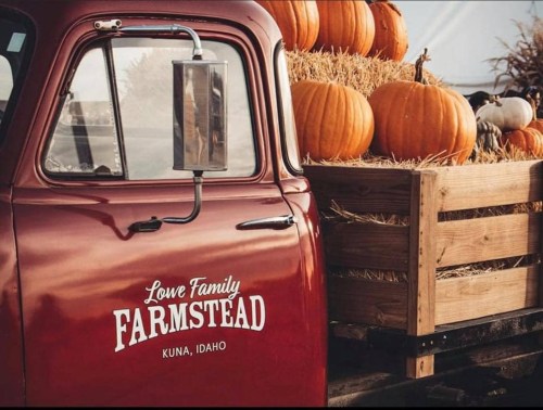 A vintage red truck with pumpkins and hay in a wooden crate, featuring "Lowe Family Farmstead" on the side.