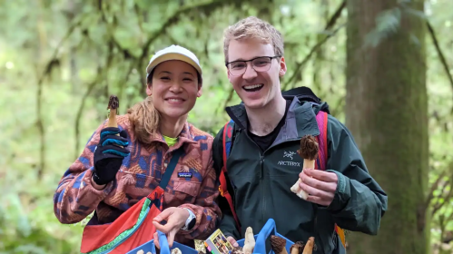 Two people hold up foraged morels in the Washington woods.