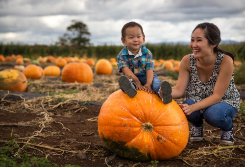 A child sits on a large pumpkin while a woman smiles beside him in a pumpkin patch under a cloudy sky.