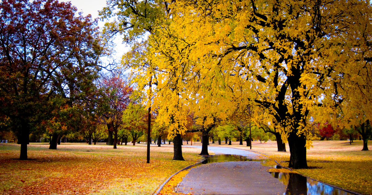 Here Are the Best Times and Places to View Kansas’s Fall Foliage in 2025