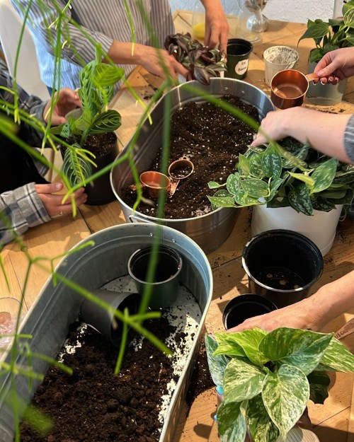 Hands planting various plants in pots, surrounded by soil and gardening tools on a wooden table.