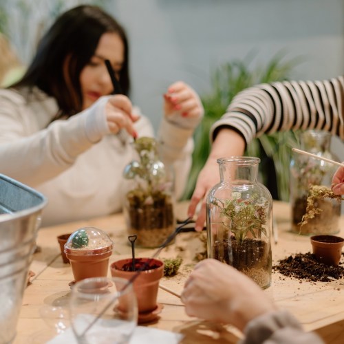 People working together to create terrariums, using plants, soil, and various tools on a wooden table.