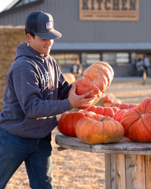 A person in a hoodie and cap lifts a large pumpkin at a farm stand surrounded by other pumpkins.