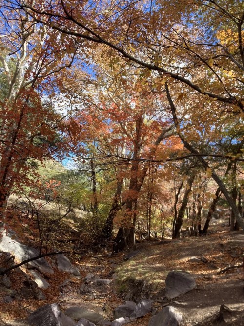 ramsey canyon trail fall hike