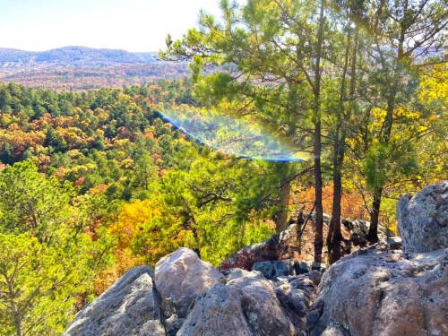 A scenic view of colorful autumn trees from a rocky overlook, with sunlight filtering through the branches.